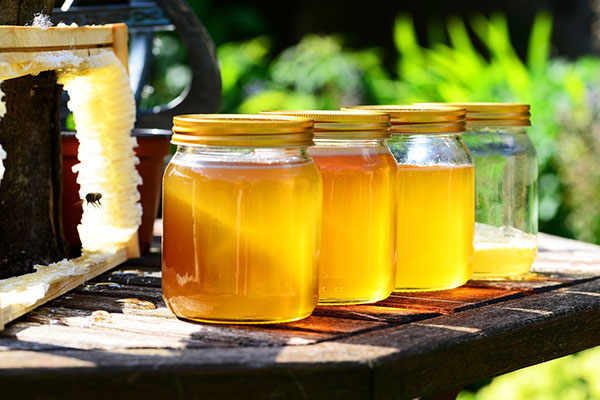 caratteristiche miele di acacia